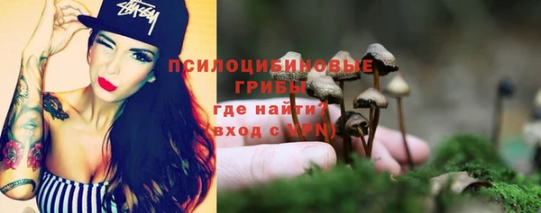 стаф Алексеевка
