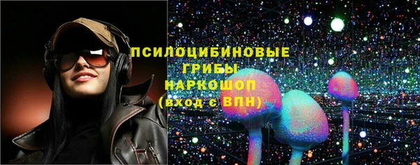 стаф Алексеевка
