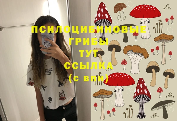 стаф Алексеевка